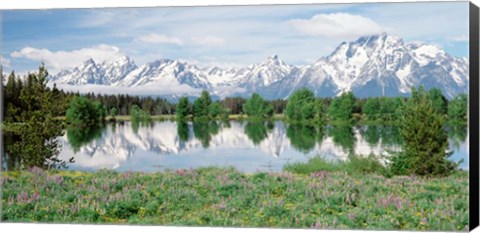 Framed Spring Grand Teton National Park WY Print
