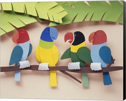 Framed Illustration birds Print