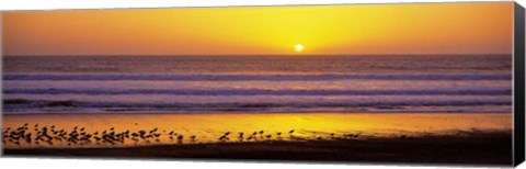 Framed Sunset near Santa Cruz Print