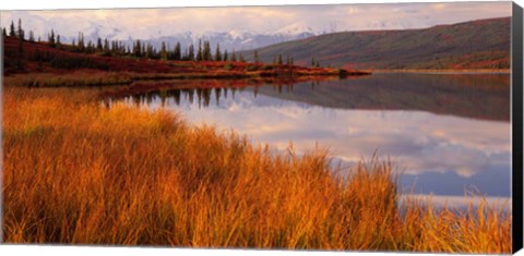 Framed Wonder Lake &amp; Alaska Range Denali National Park Print