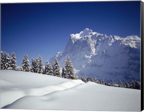 Framed Trees on a snow covered landscape, Switzerland Print