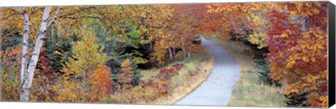 Framed Walking Path Acadia National Park Print