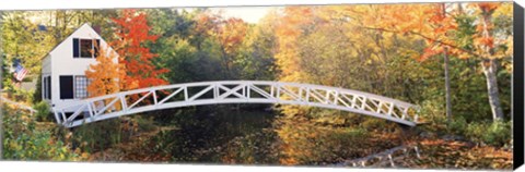 Framed Arched white footbridge Print