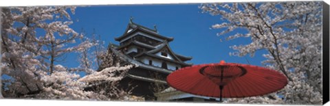 Framed Cherry Blossom Matsue Castle Japan Print
