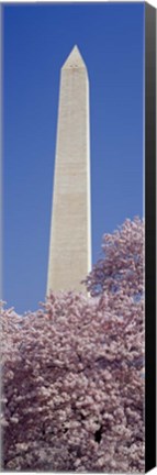 Framed Washington Monument, Washington DC Print