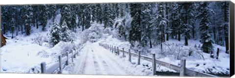 Framed Snowy Bridge Lake Tahoe Print