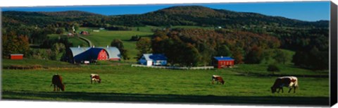 Framed Diamond Heart Farm Print