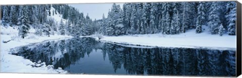 Framed Winter Stream Tahoe Print