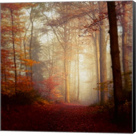 Framed Fall Hike Print