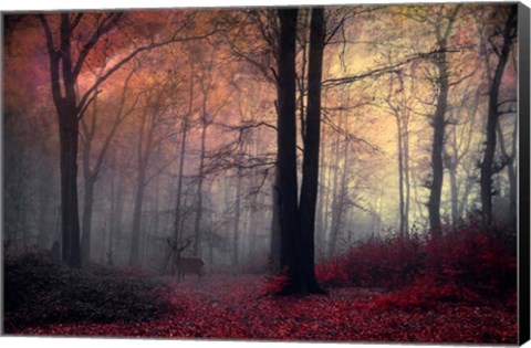 Framed Forest Dream Print