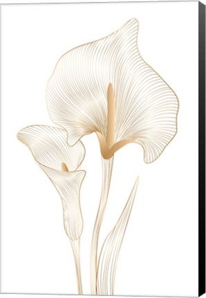 Framed Lily Line Print