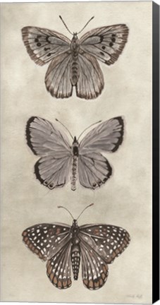 Framed Antique Butterflies I Print