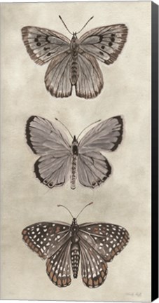 Framed Antique Butterflies I Print