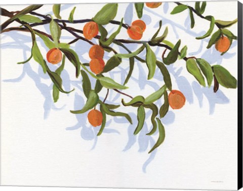 Framed Kumquats Print