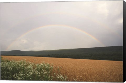 Framed Summer Rainbow Print