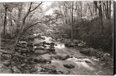 Framed Little Pigeon River I Print