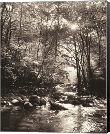 Framed Little Pigeon River Portrait Print