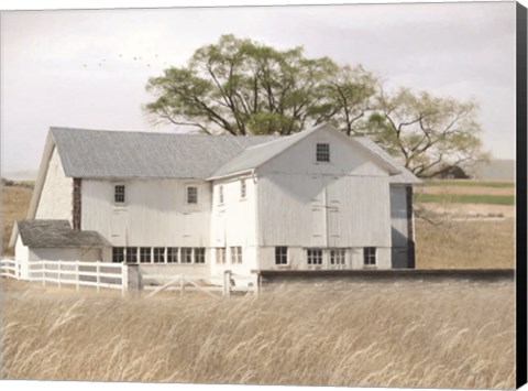 Framed White Summer Barn Print