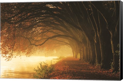 Framed Autumn Sunrise Print