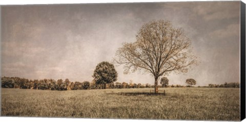 Framed Spring in the Fields Print