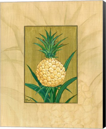 Framed Sugar Loaf Pineapple Print