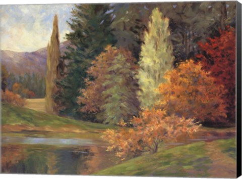 Framed Nature's Splendor II Print