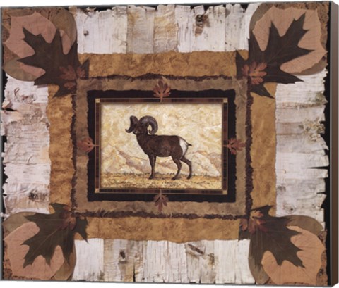 Framed Big Horn Ram Print