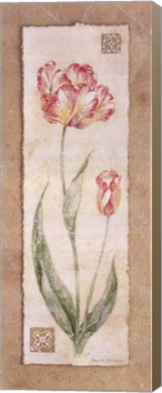Framed Tulip Print