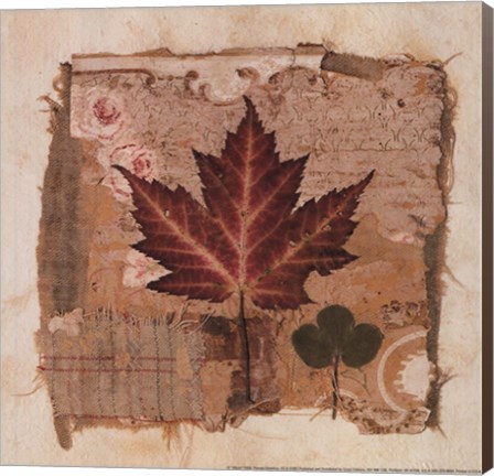 Framed Maple Print