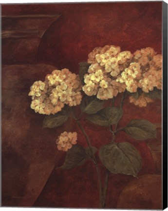 Framed Tuscan Summer II Print