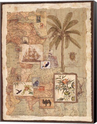 Framed Exotic Shores II Print