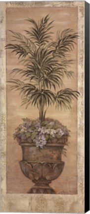Framed Parlor Palm III Print