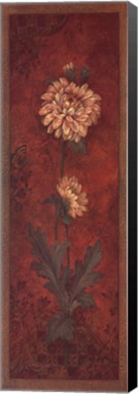 Framed Chrysanthemum Print