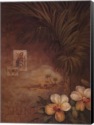 Framed West Indies Sunset II Print