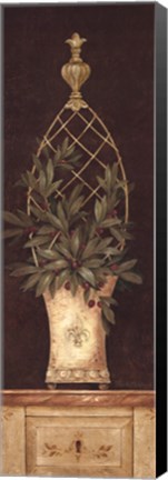 Framed Olive Topiary I Print