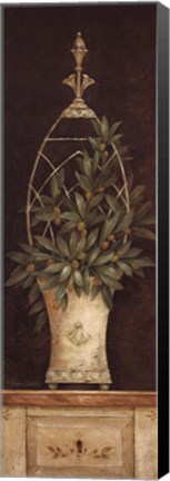 Framed Olive Topiary II Print