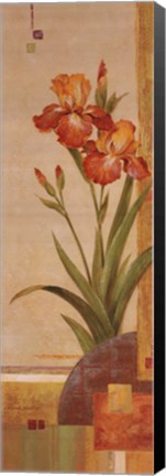 Framed In the Garden III Print