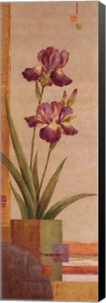 Framed In the Garden IV Print