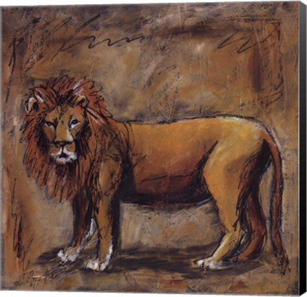 Framed Safari Lion Print