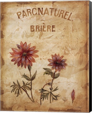 Framed Parcnaturel I Print