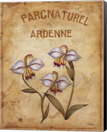Framed Parcnaturel II Print