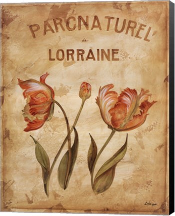 Framed Parcnaturel III Print