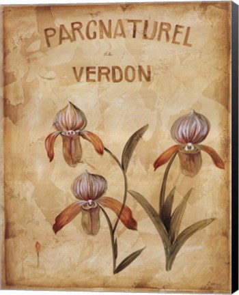 Framed Parcnaturel IV Print
