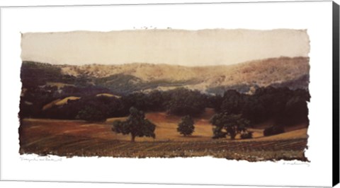Framed Vineyard and Oak II Print