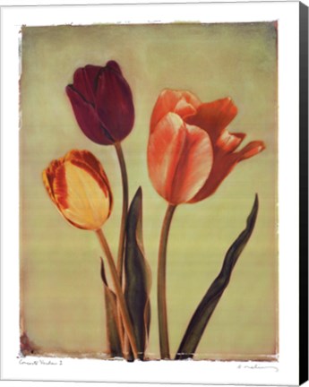 Framed Concerto Verde I Print