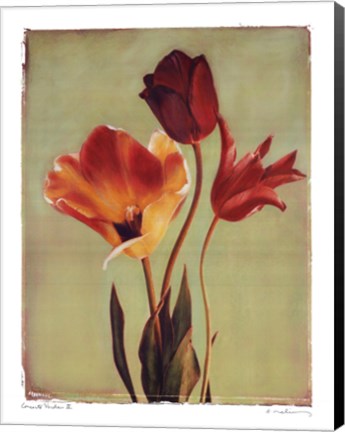 Framed Concerto Verde II Print