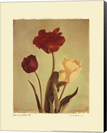 Framed Spring Color IV Print