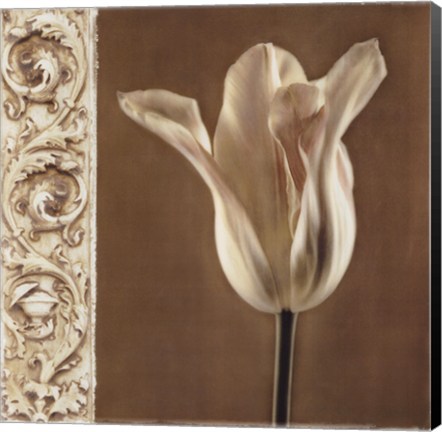 Framed Lumiere I Print