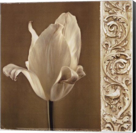Framed Lumiere II Print