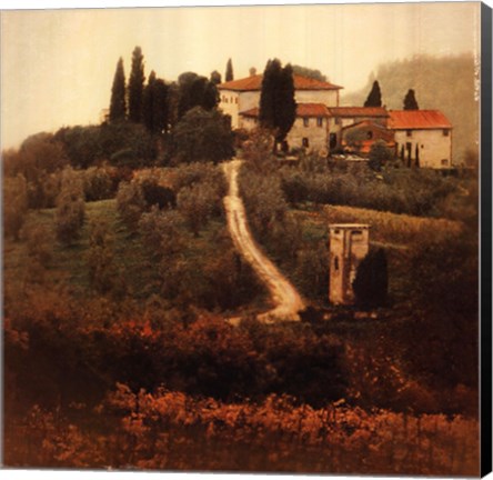 Framed Villa I Print